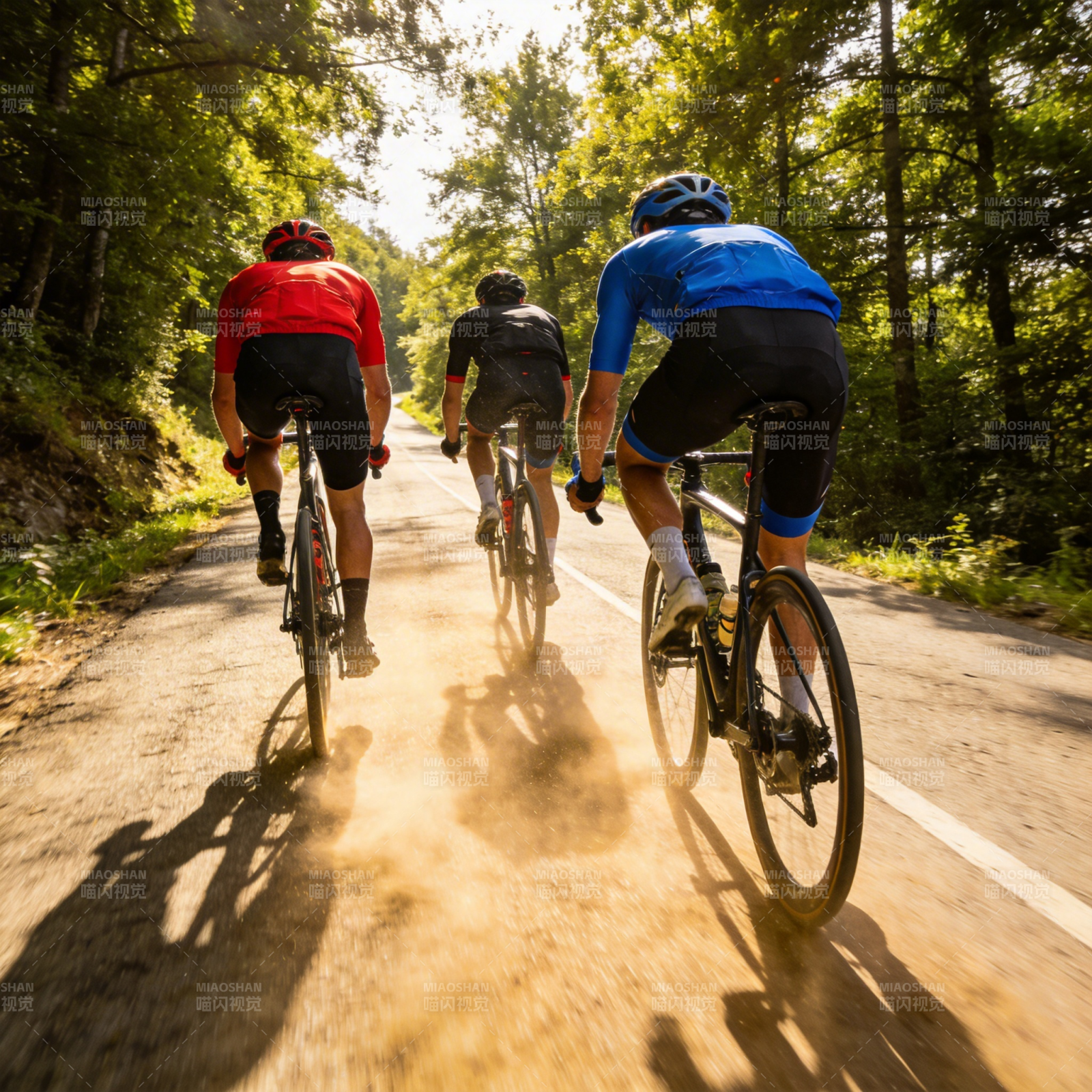 骑行林间小道图片