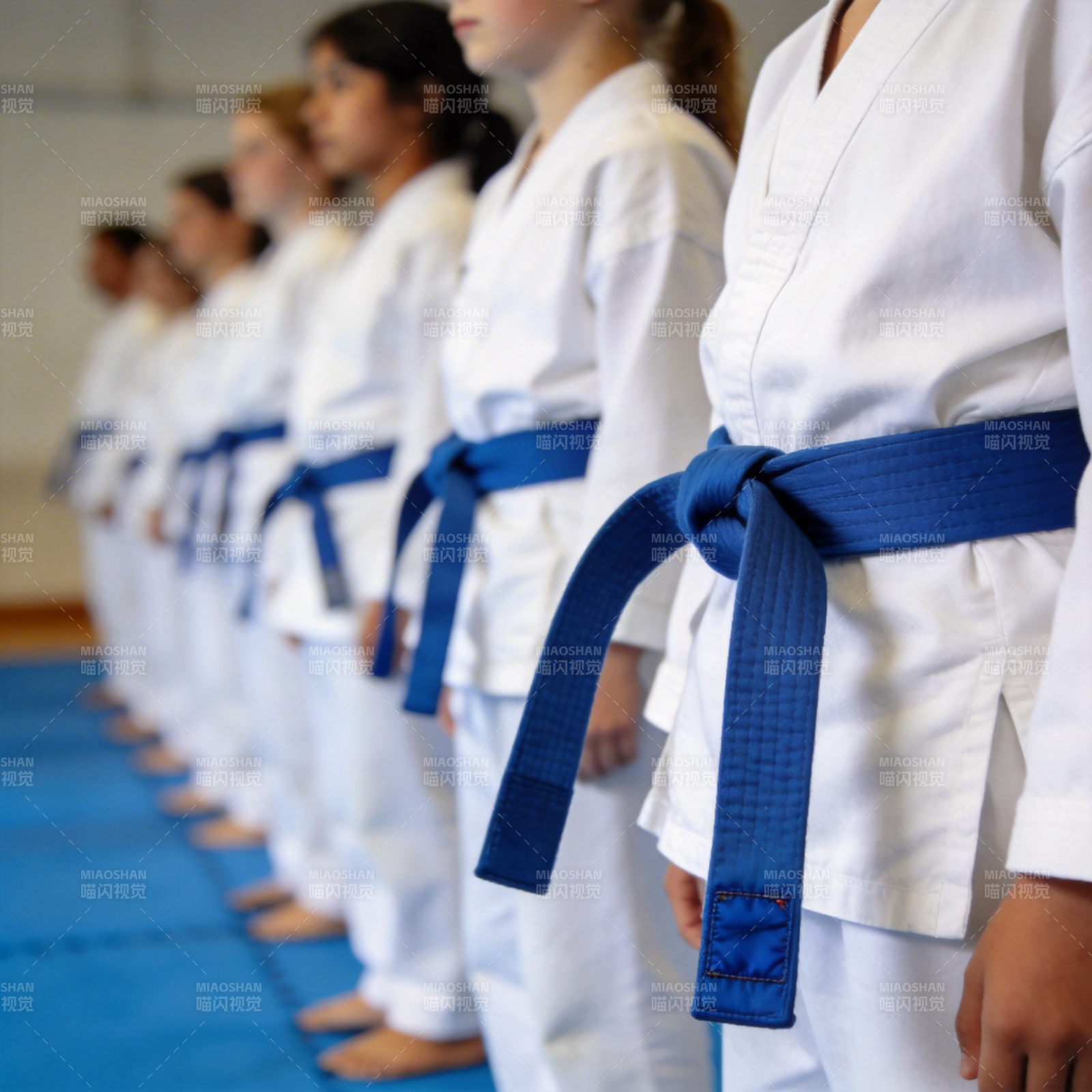 蓝带武术队列图片