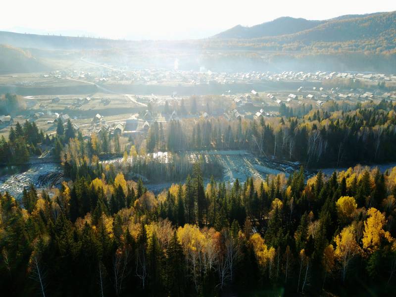 秋日山林晨景图片