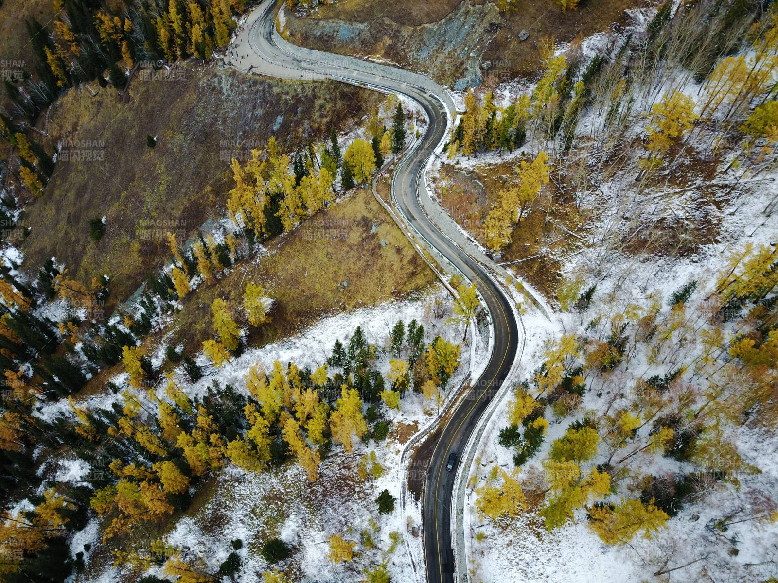 喀纳斯秋雪山路蜿蜒图片