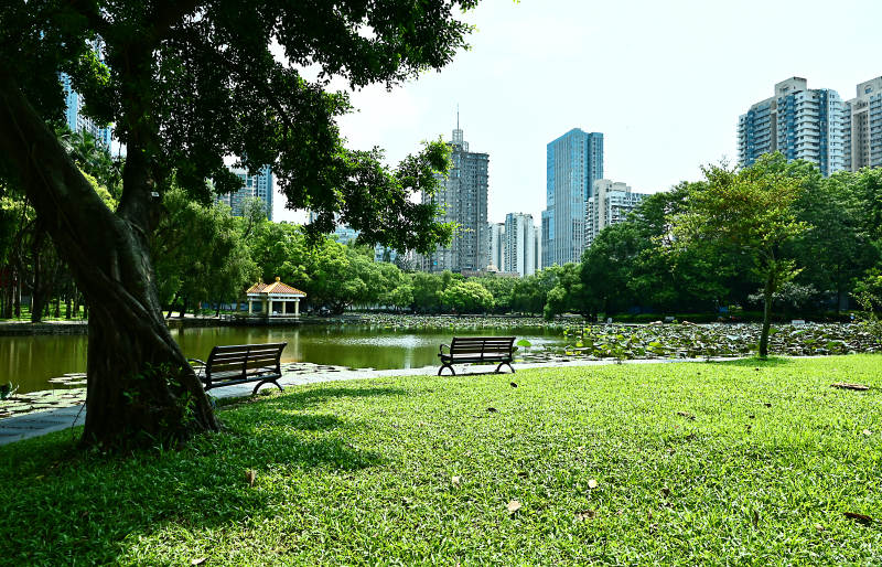 城市公园绿意盎然图片