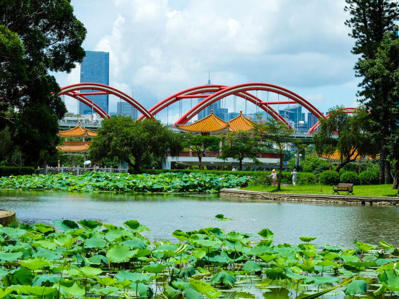 荷塘拱桥映城景图片