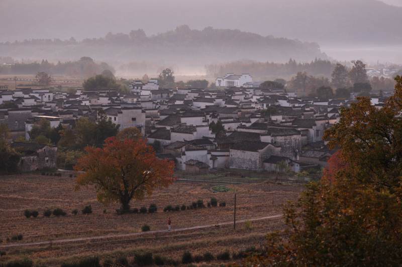晨雾中的古村落图片