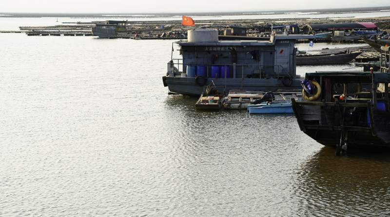 海边边停泊的船只图片