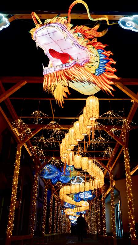 龙灯璀璨夜景图片