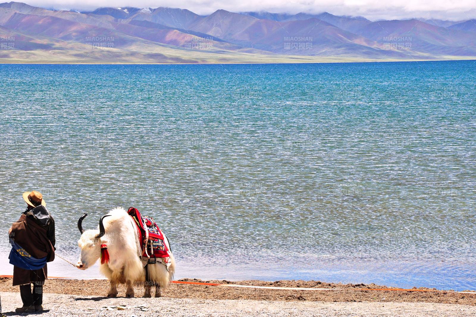 西藏那木措湖畔风光图片