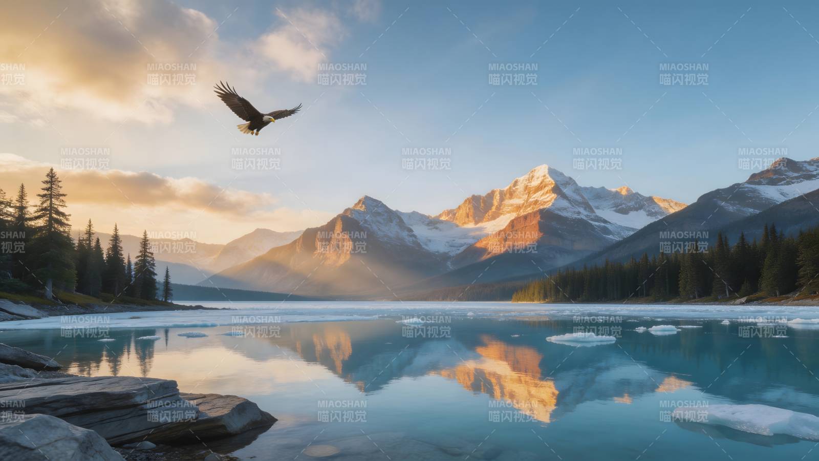 雪山湖畔鹰飞翔图片