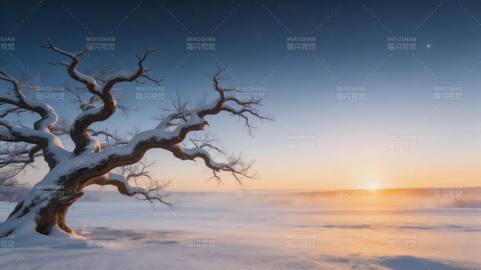 雪夜孤树映晨曦图片