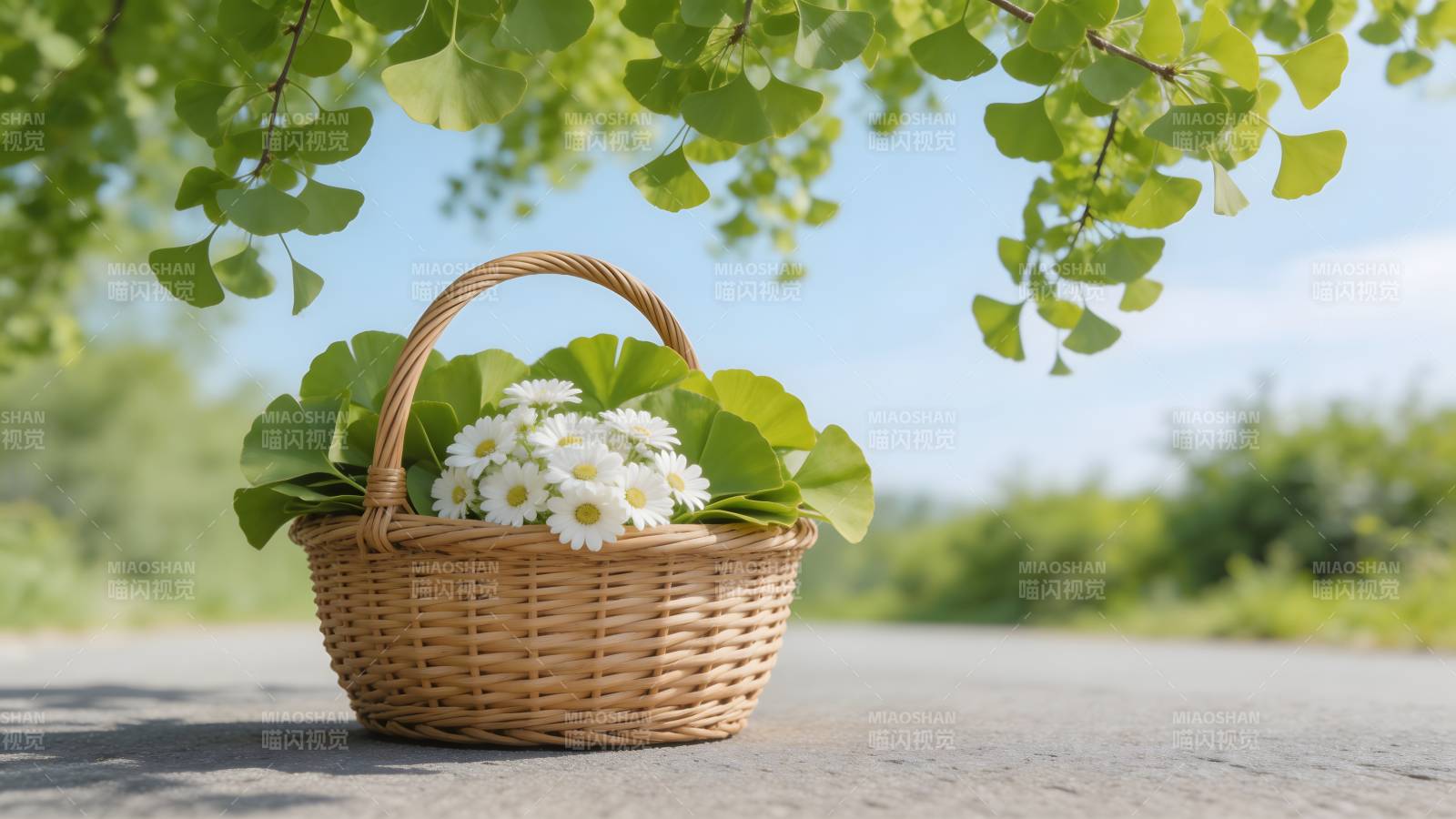 花篮静置树荫下图片