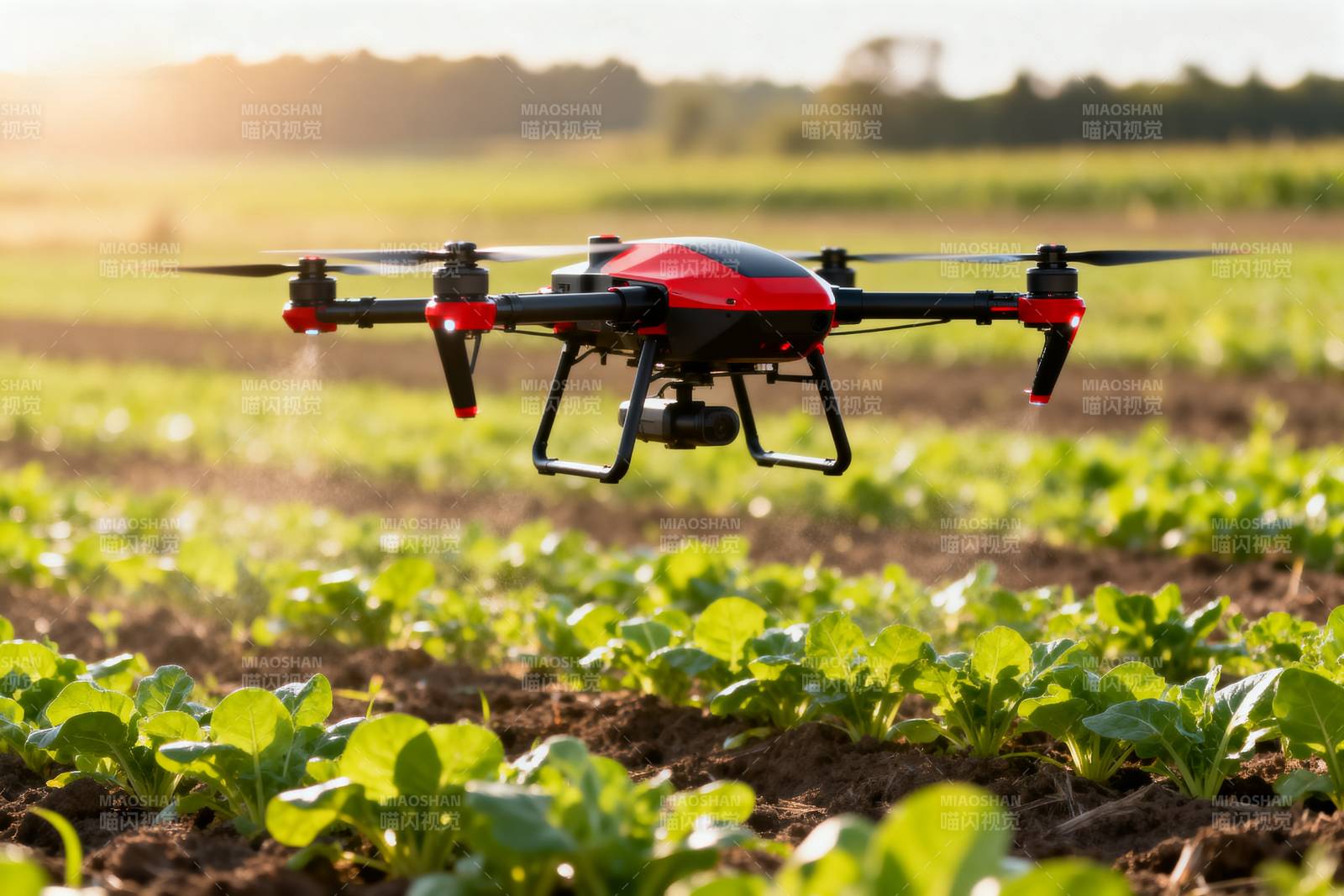 无人机农田作业图片