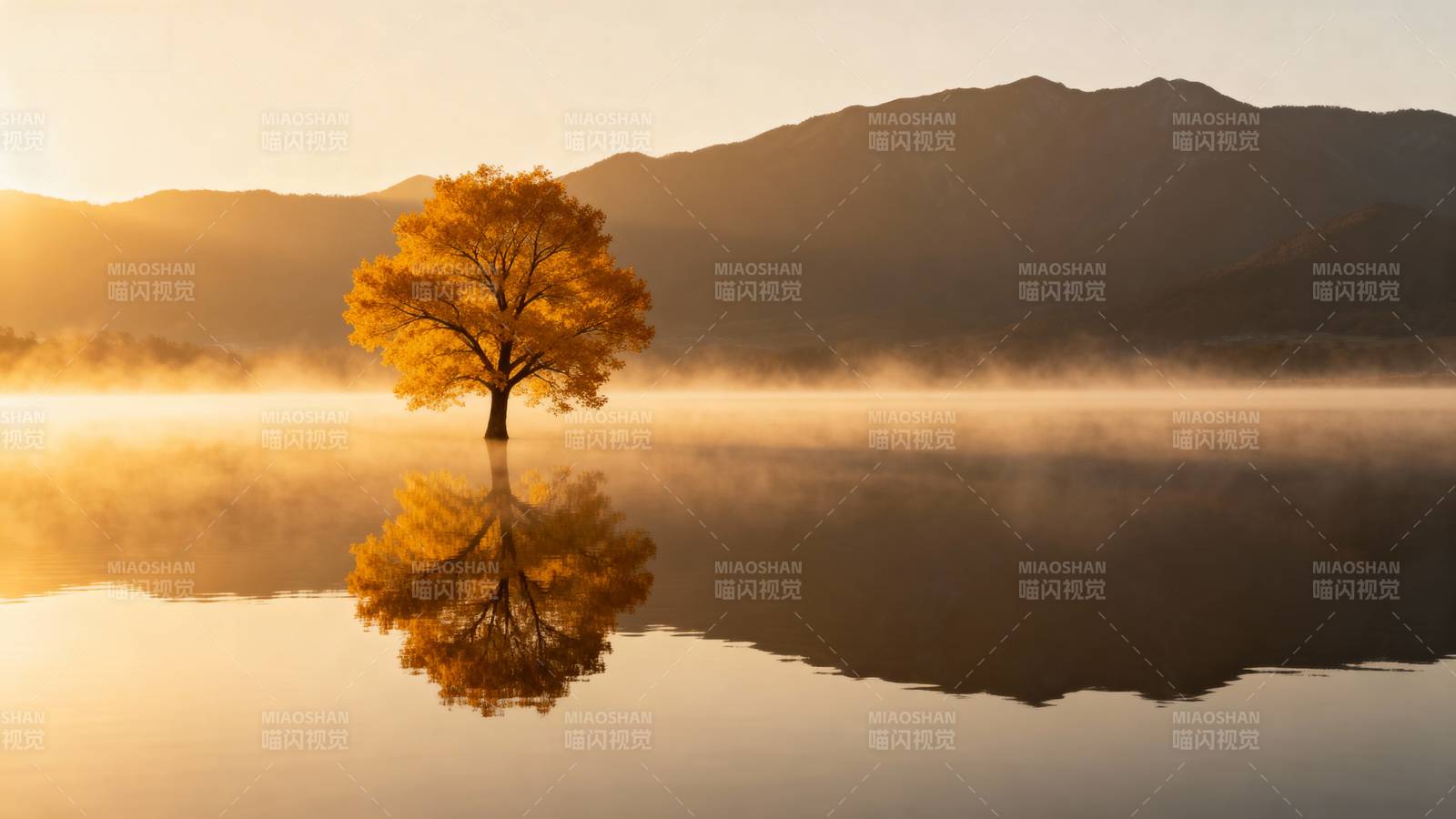 秋树映湖 雾绕山间图片