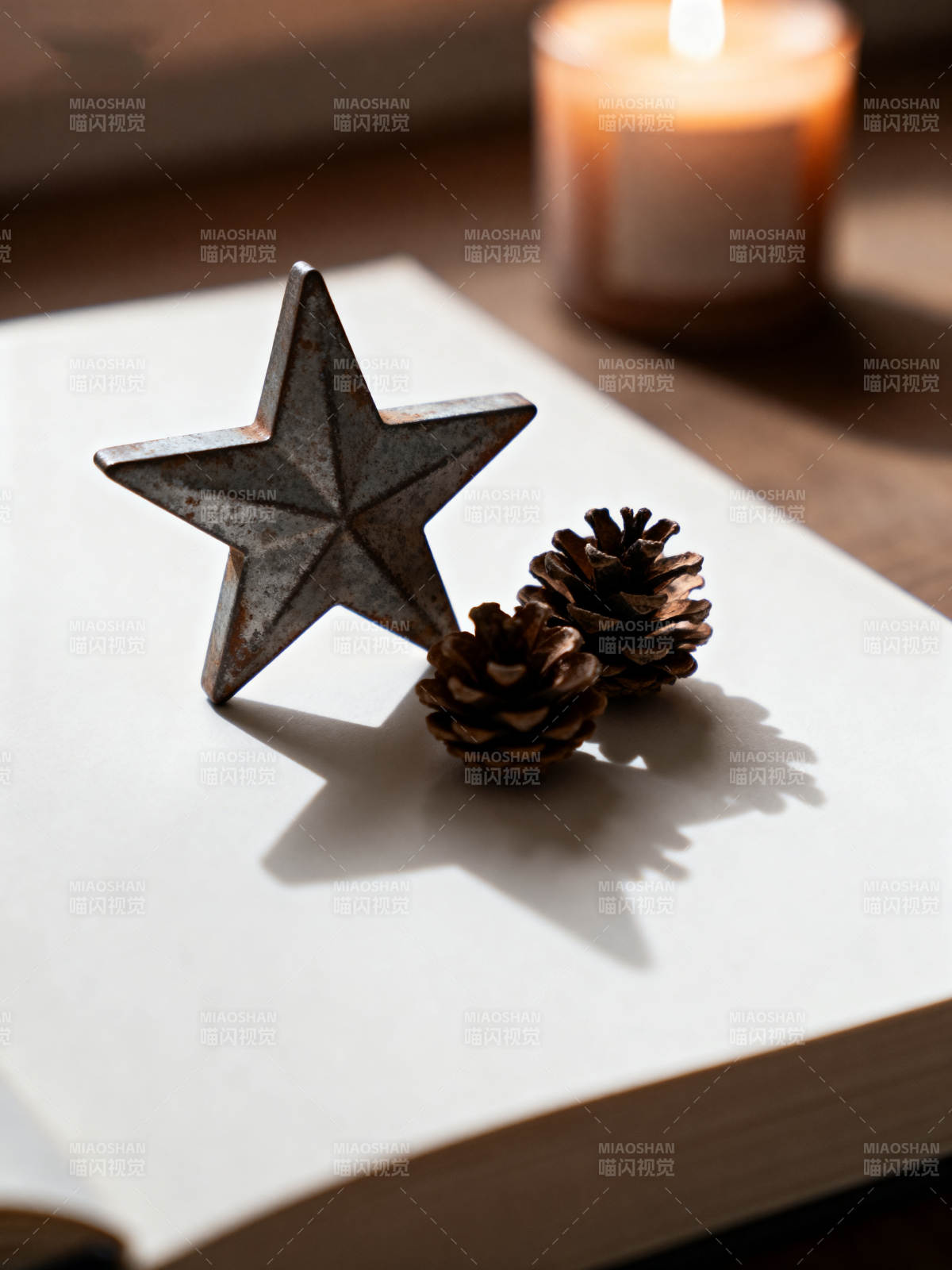 星灯松果静谧夜图片