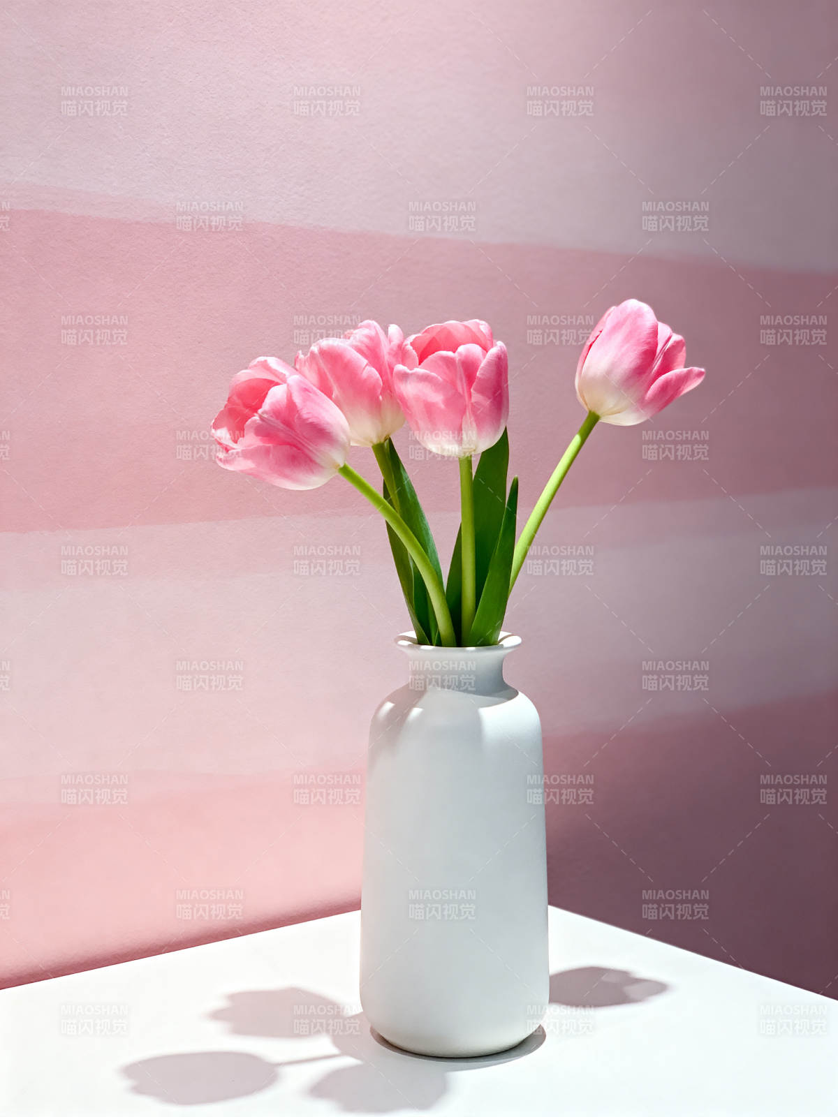 粉郁金香静谧之美图片