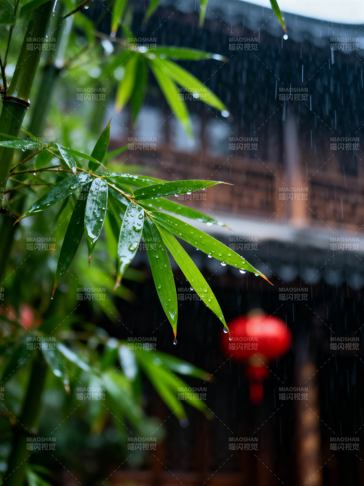 雨中竹叶红灯影图片