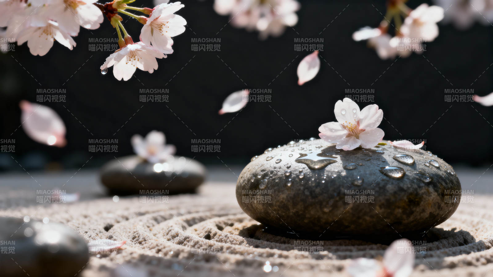 樱花落石 禅意盎然图片