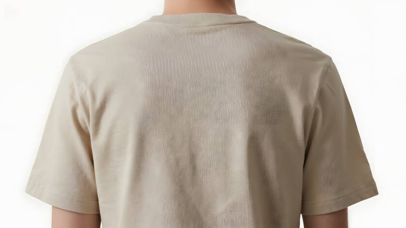 米色T恤背面图图片