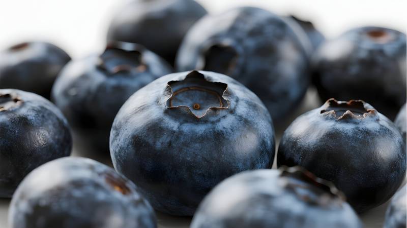 新鲜蓝莓特写图片