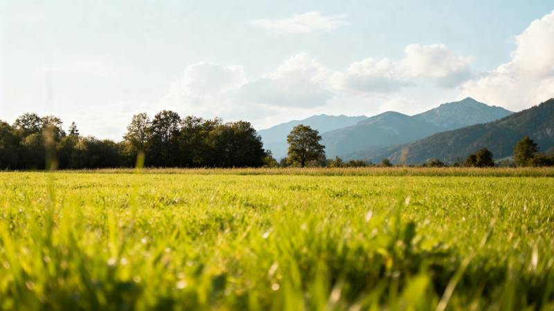 绿野山峦图图片