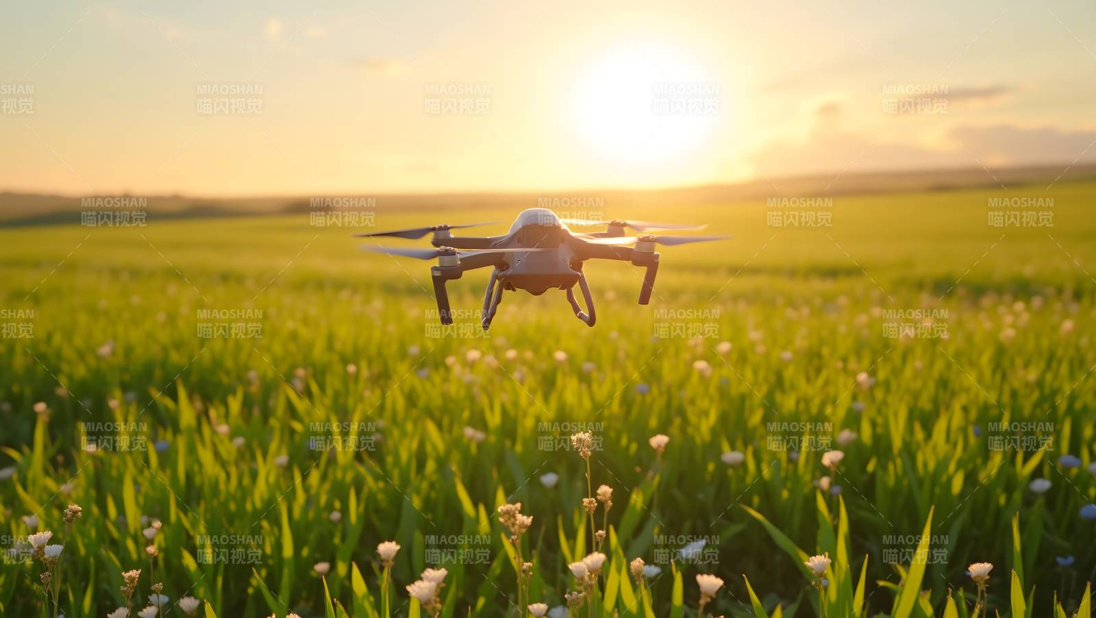 无人机飞越花田图片
