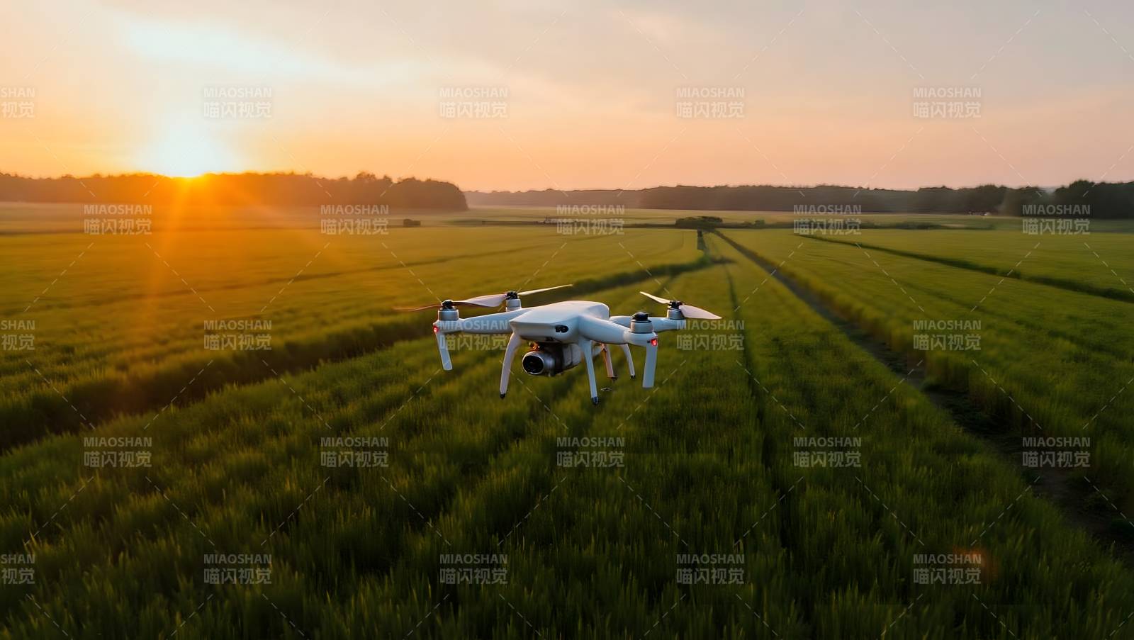 无人机翱翔田野图片