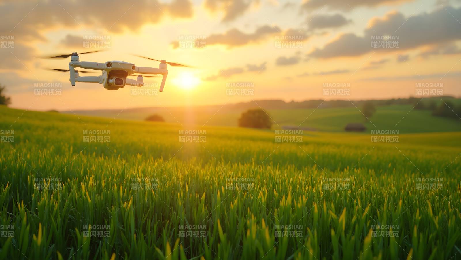 无人机飞越麦田图片