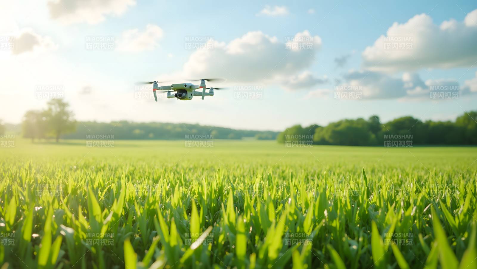 无人机飞越绿野图片