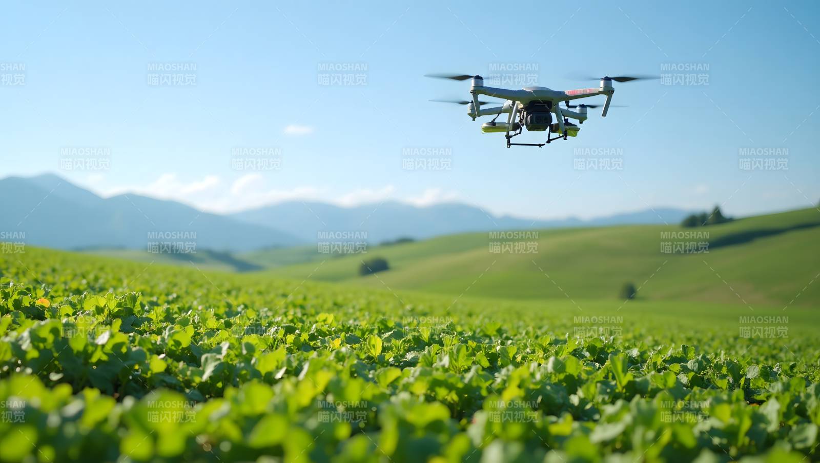 无人机飞越绿野图片