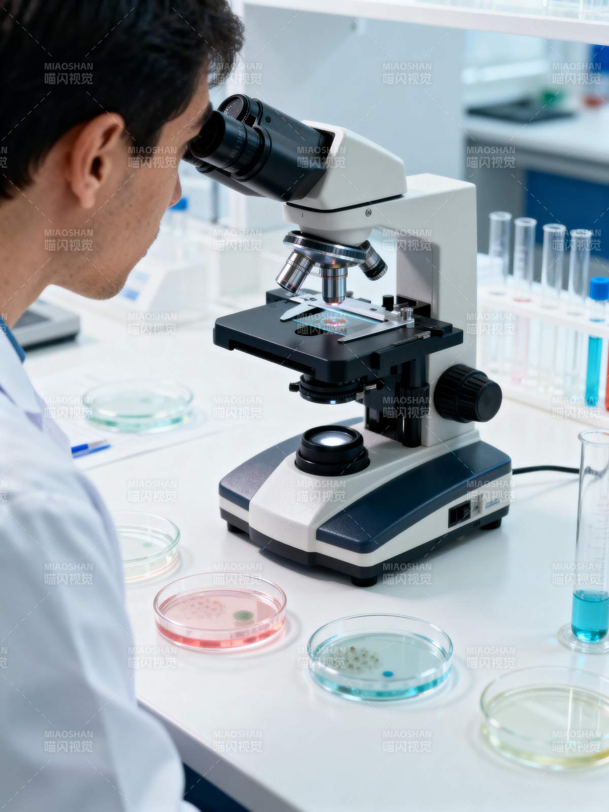 实验室显微镜观察图片