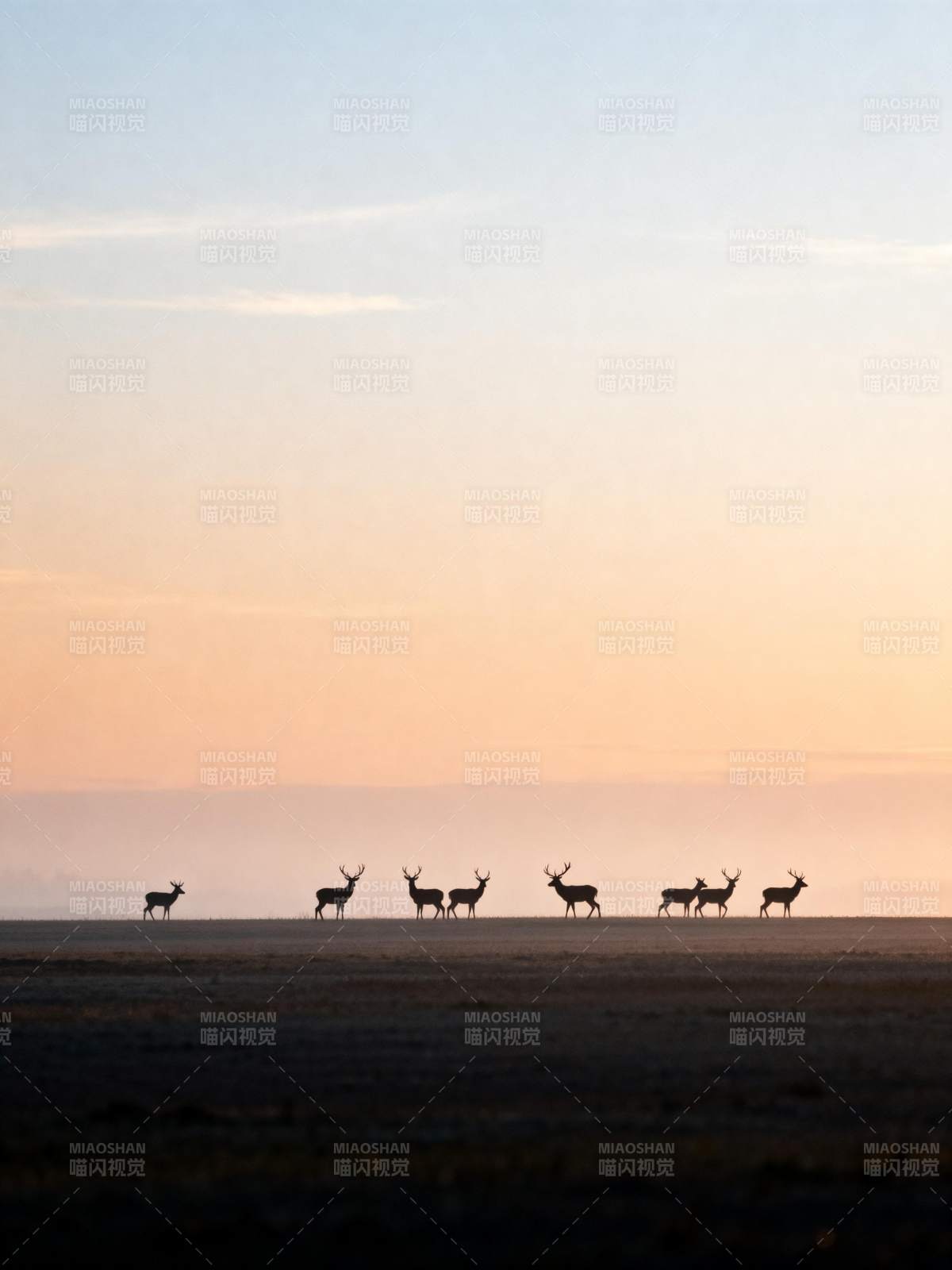 鹿群剪影日落时图片