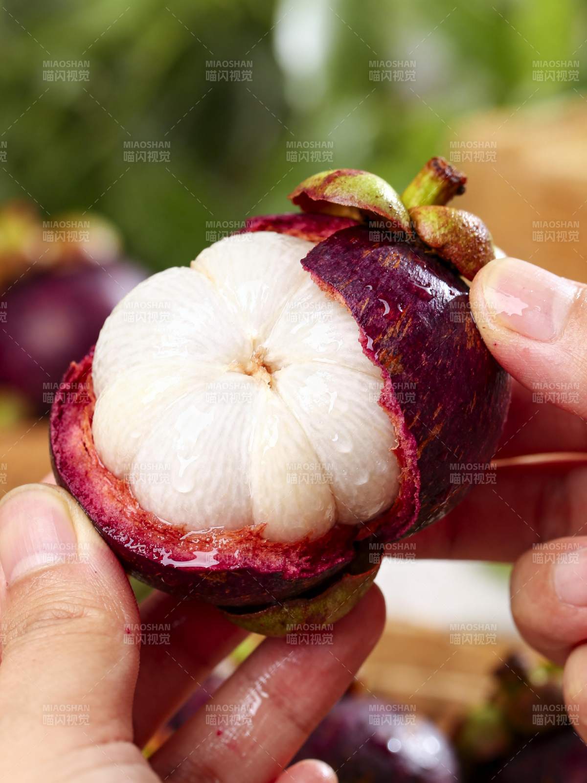 山竹果肉特写图片