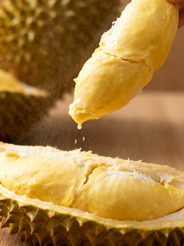 榴莲果肉特写图片
