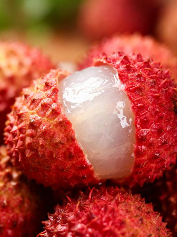 新鲜荔枝特写图片