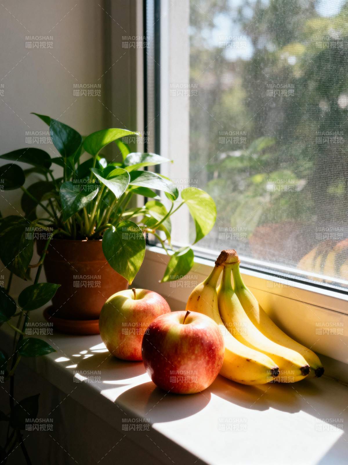 窗台上的水果与绿植图片