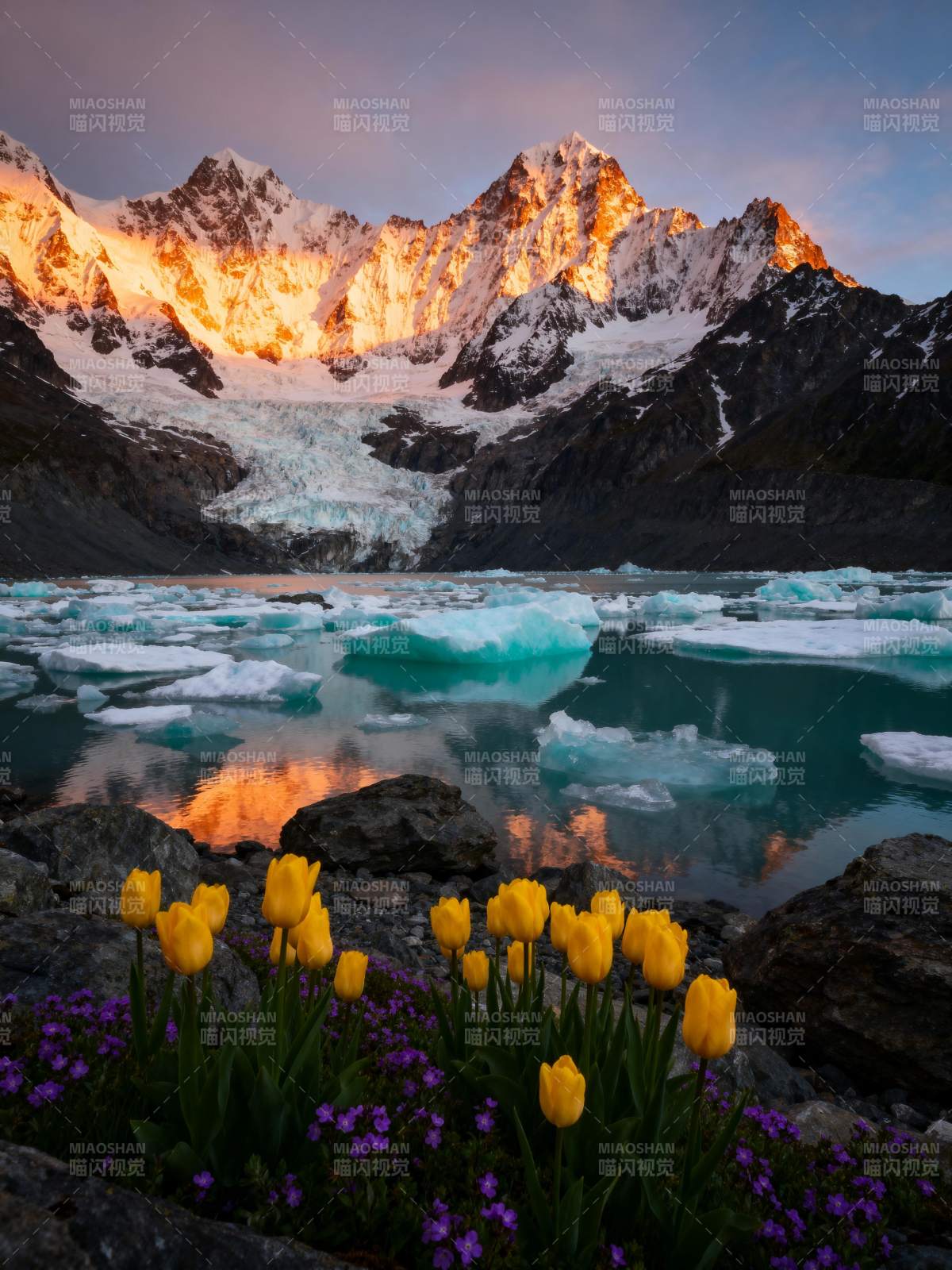 雪山春花映冰湖图片