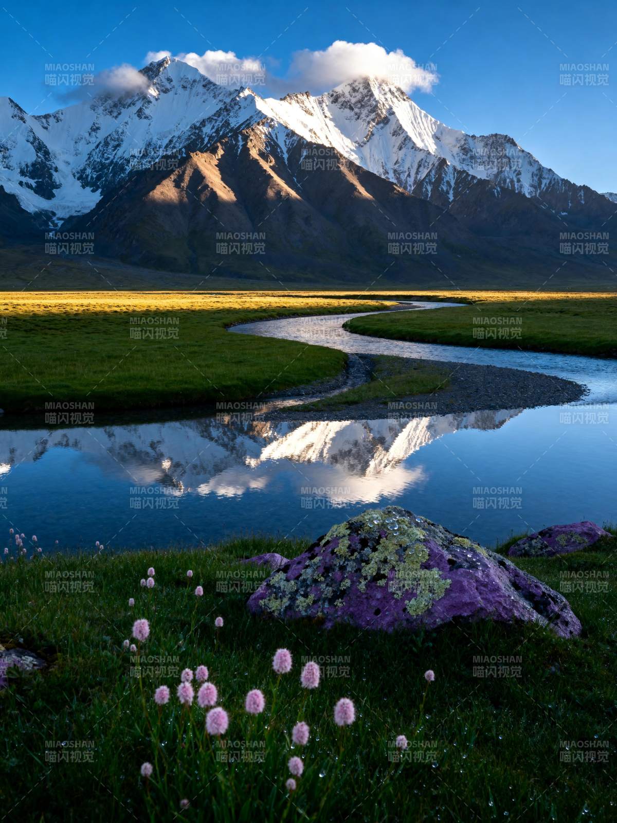 雪山倒影湖畔花图片