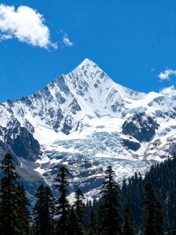 雪山之巅 云影松涛图片