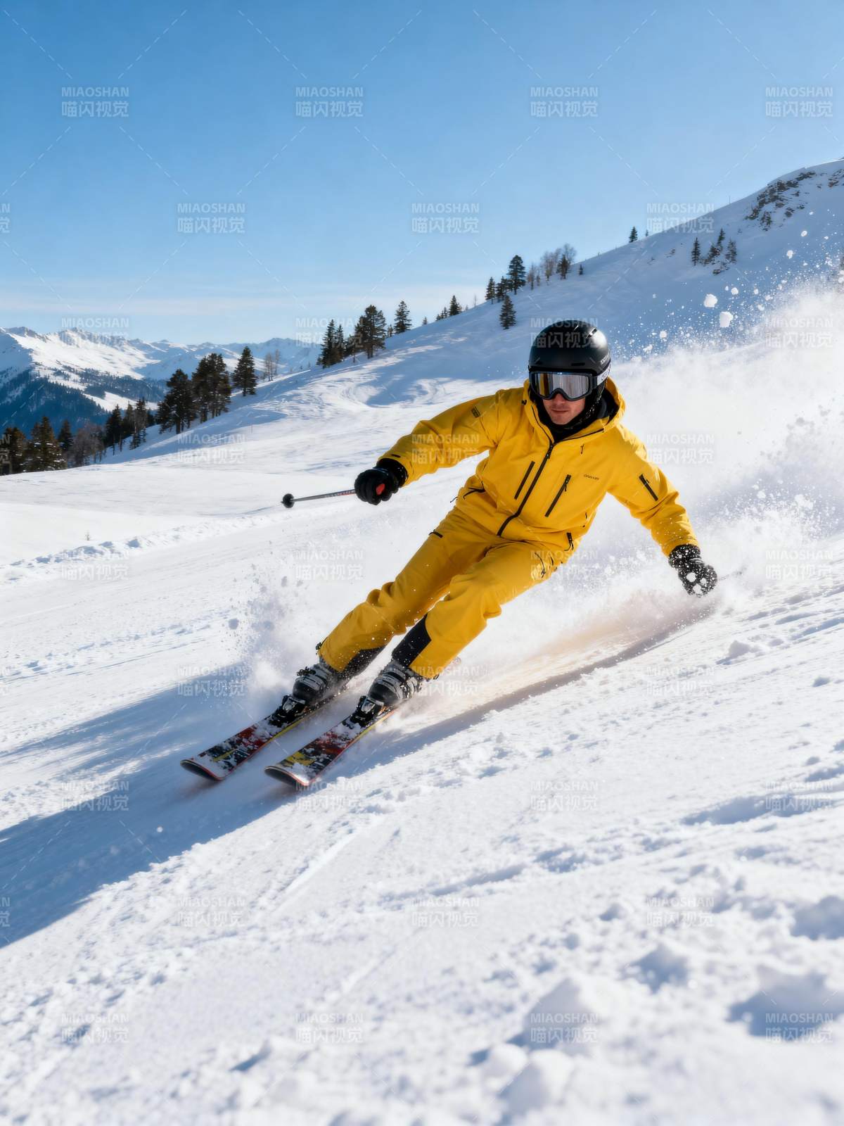 雪地疾驰 畅享滑雪图片