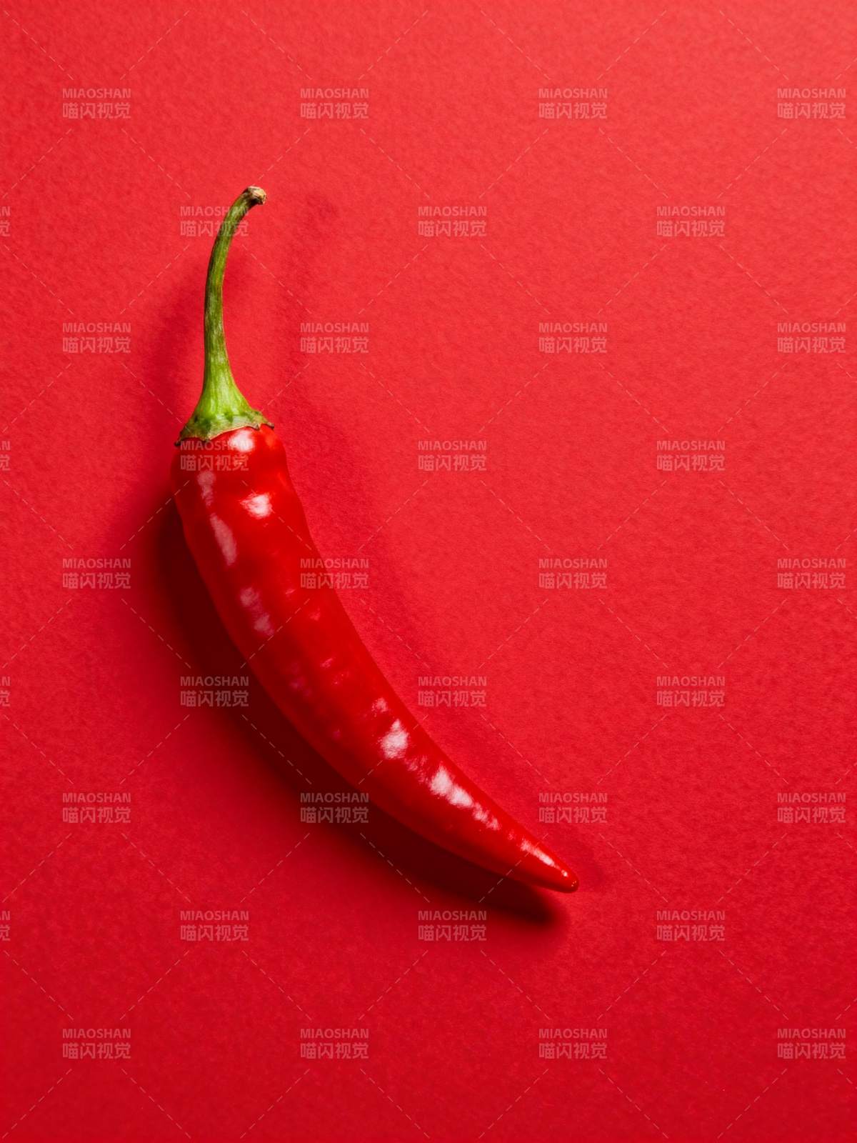 红辣椒静物图图片