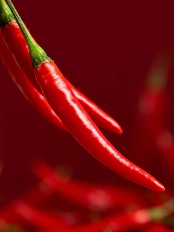 红辣椒特写图片