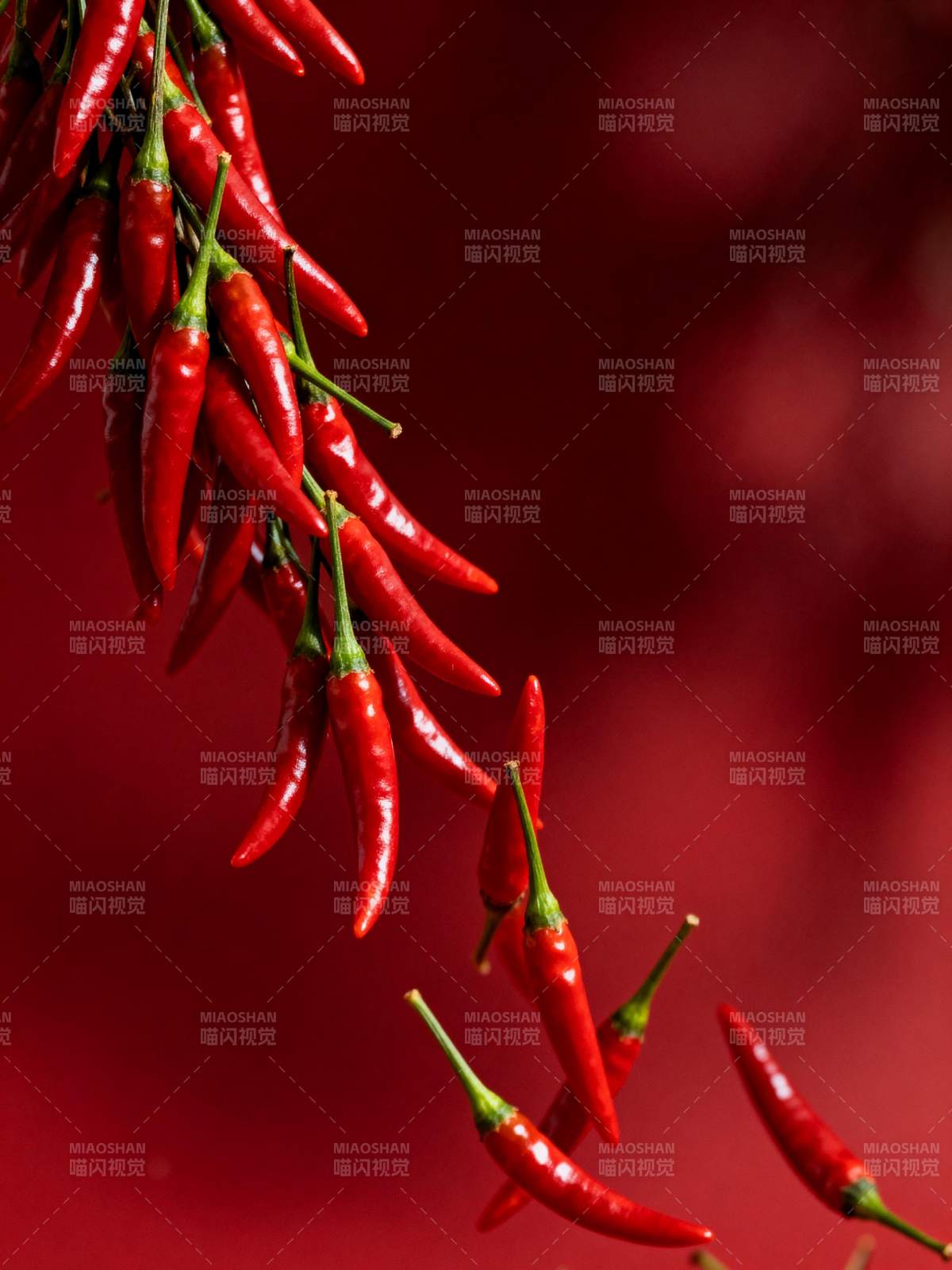 红椒垂挂 鲜辣诱人图片