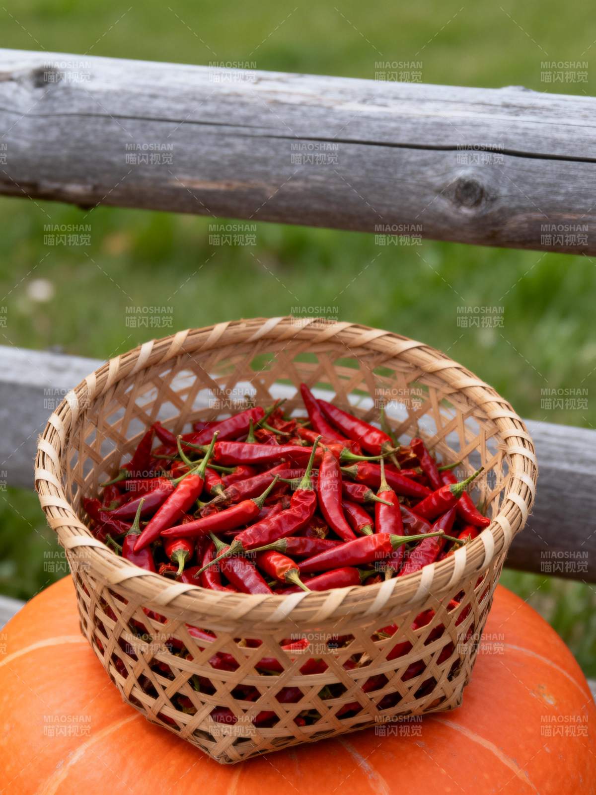 红椒满篮秋意浓图片