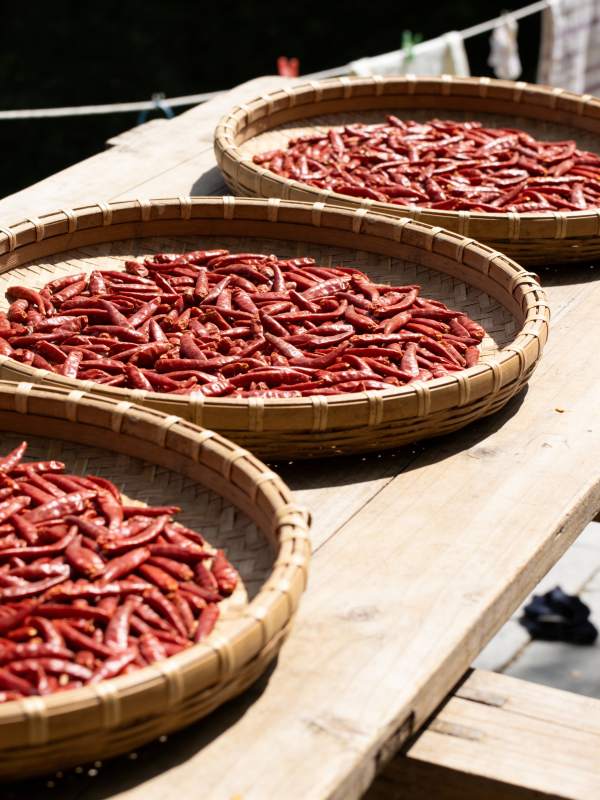 红辣椒晒太阳图片