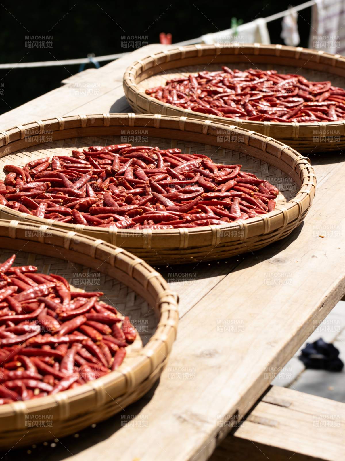 红辣椒晒太阳图片