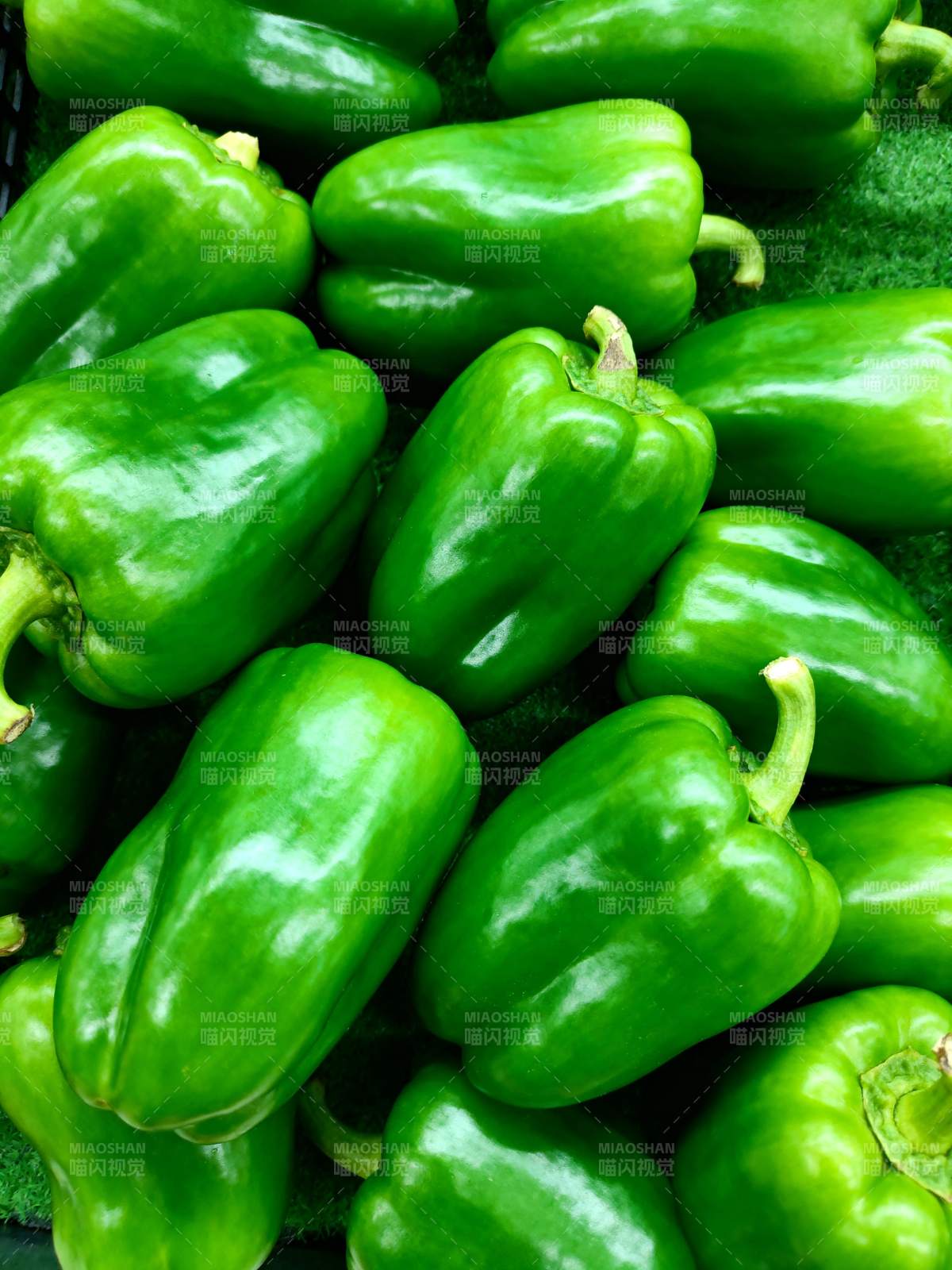 新鲜青椒特写图片