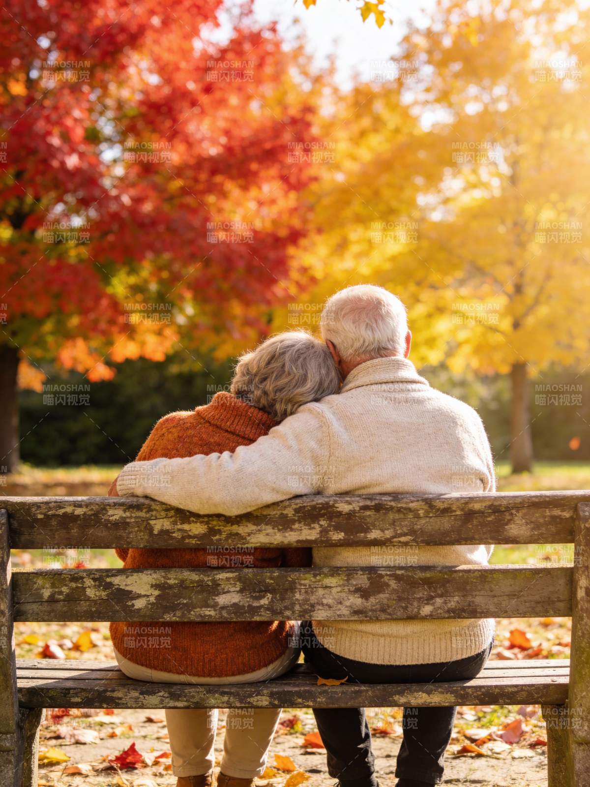 秋日相伴 岁月静好图片