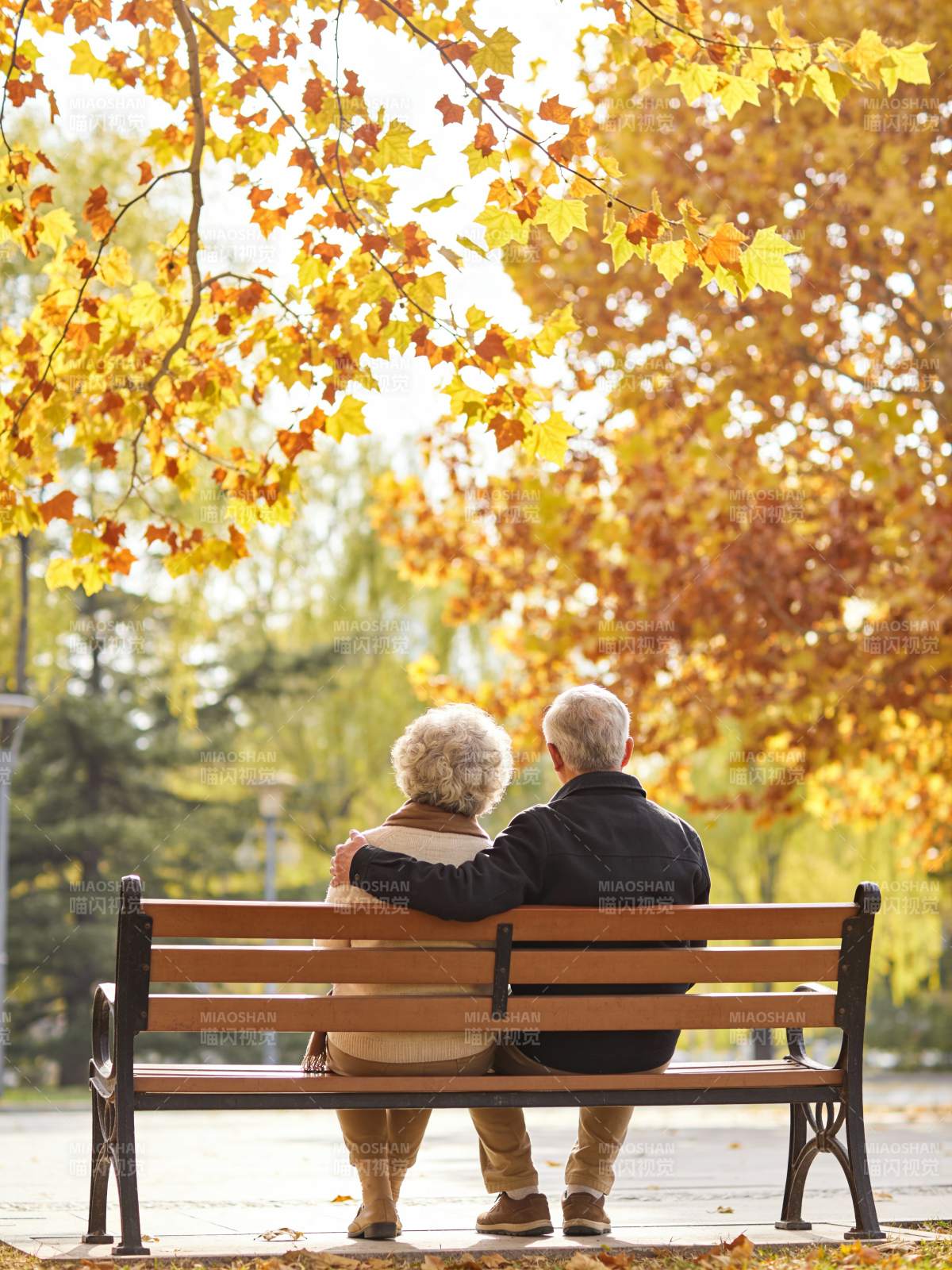 秋日共赏落叶图片