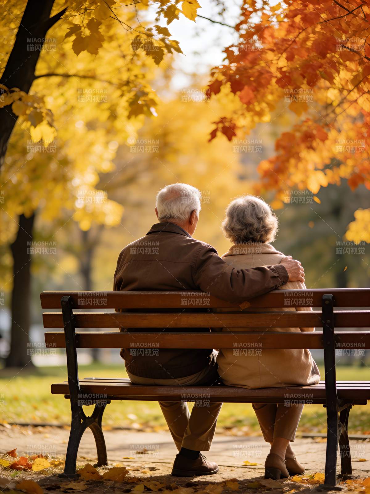 秋日相伴 共赏落叶图片