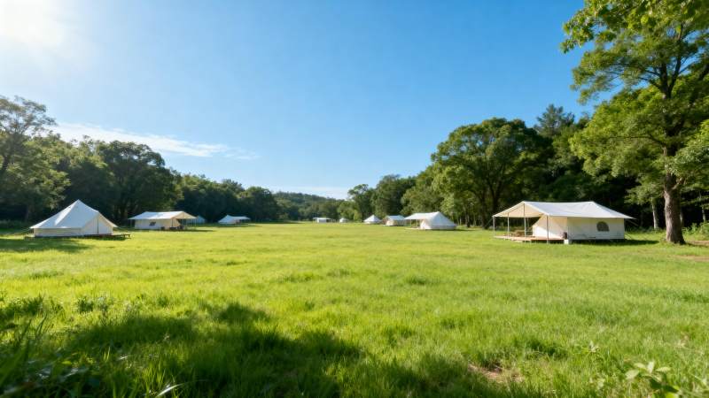 绿野露营静谧风光图片