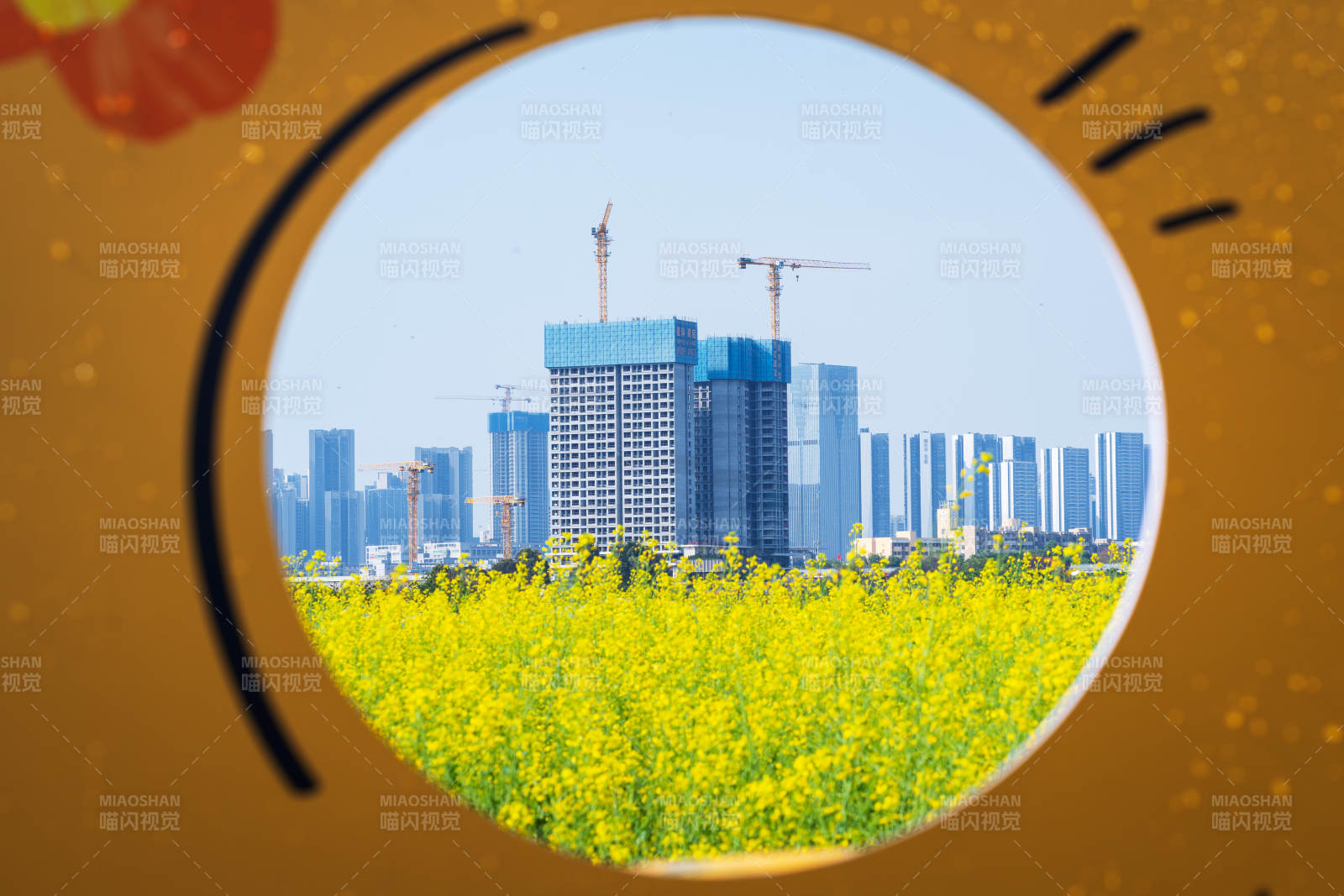 城市春景 花海映高楼图片