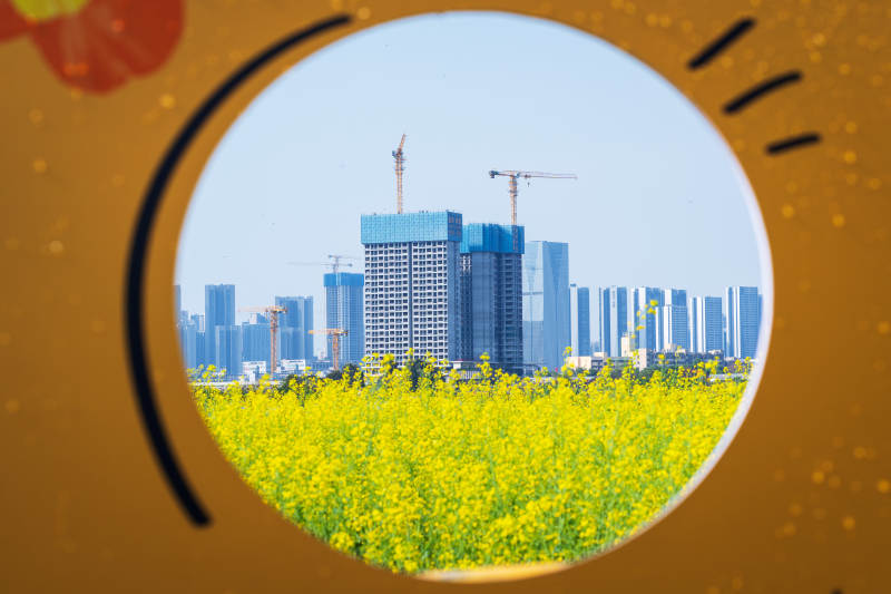 城市春景 花海映高楼图片